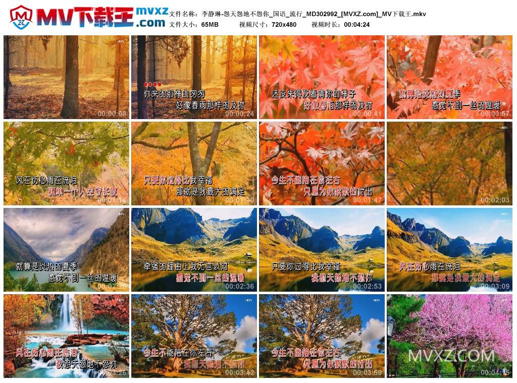 李静琳-怨天怨地不怨你_国语_流行_MD302992